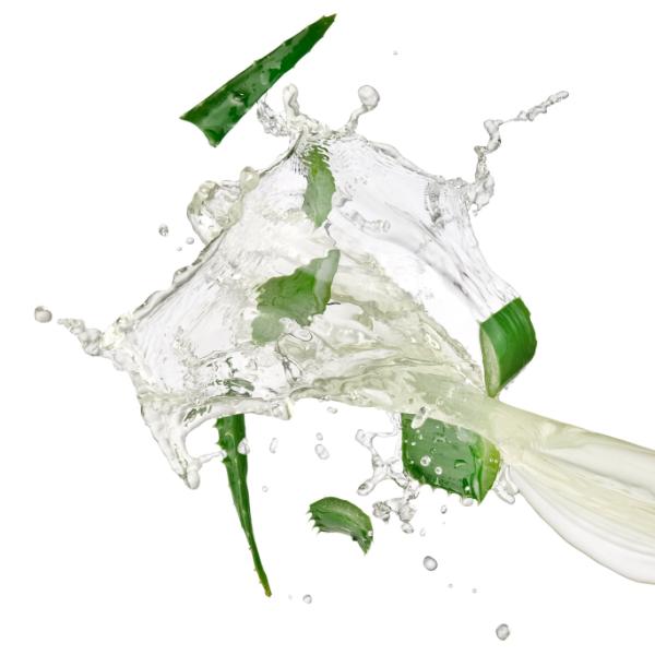 Fresh aloe vera juice splash with translucent gel, highlighting the hydrating properties used in O Gel and Remember Me Styling Foam & Curly hair mousse.