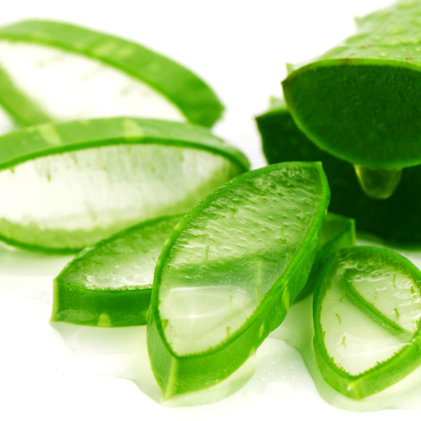  Fresh aloe vera slices with clear, hydrating gel, used in Evolving Textures O Gel, known for moisturizing and nourishing hair.