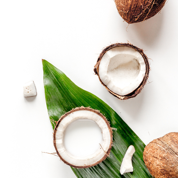 Fresh, cracked coconuts with tropical palm leaf, highlighting the moisturizing benefits of coconut oil in Remember Me Styling Foam.